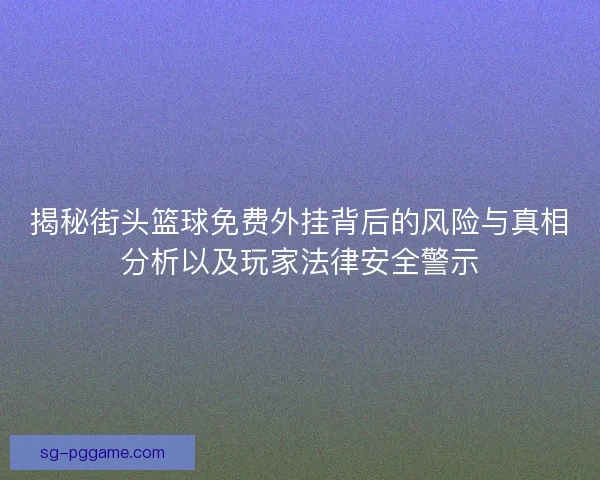 揭秘街头篮球免费外挂背后的风险与真相分析以及玩家法律安全警示